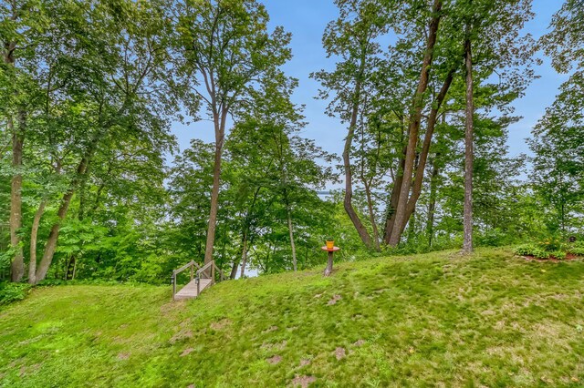 45340 Maple Shores Ln, Osage, MN 56570 - photo 6