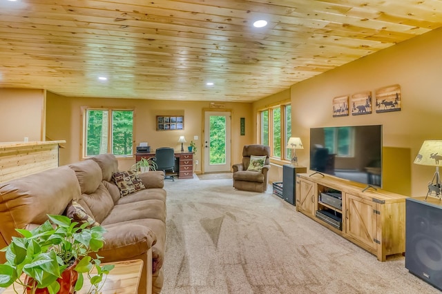 45340 Maple Shores Ln, Osage, MN 56570 - photo 40