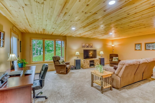 45340 Maple Shores Ln, Osage, MN 56570 - photo 41