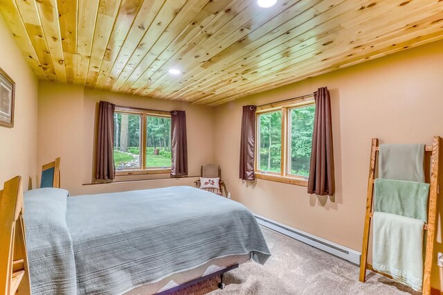 45340 Maple Shores Ln, Osage, MN 56570 - photo 45