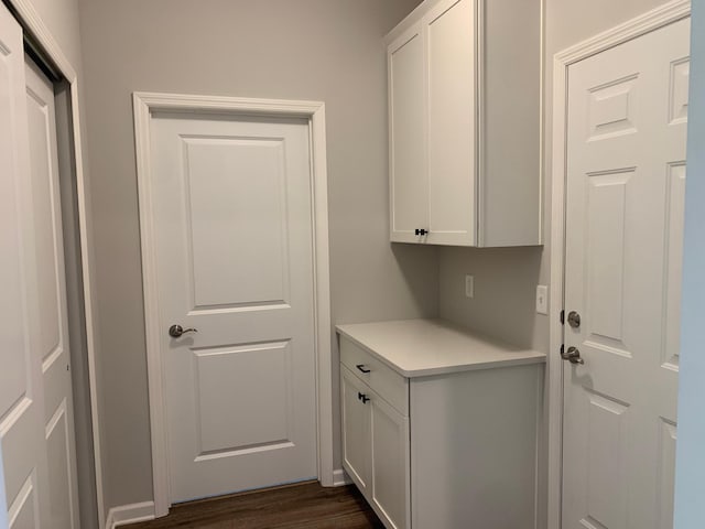 1248 100th Ave NW, Coon Rapids, MN 55433 - laundry area with dark wood-style flooring