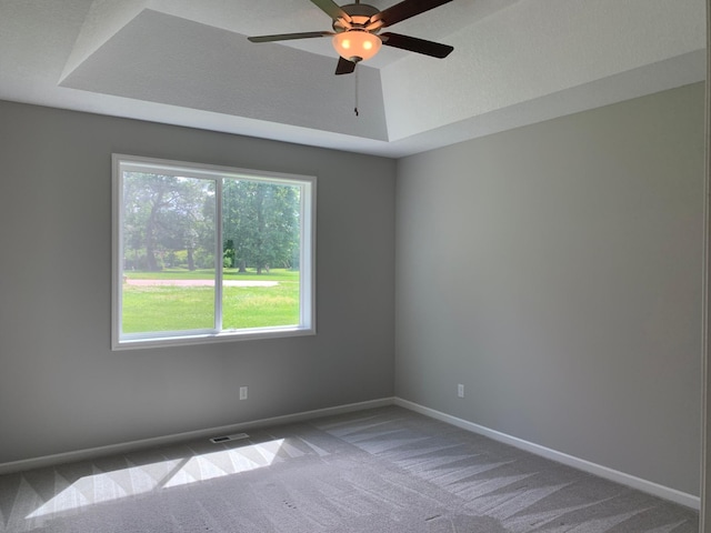 1248 100th Ave NW, Coon Rapids, MN 55433 - unfurnished room featuring carpet, a ceiling fan, and a tray ceiling