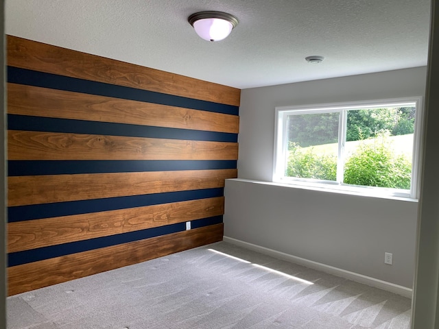 1248 100th Ave NW, Coon Rapids, MN 55433 - unfurnished room with carpet, a textured ceiling, and wooden walls