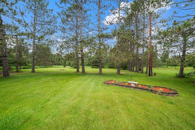 3661 Riley Rd, Rice Lake Twp, MN 55803 - view of grassy yard featuring view of scattered trees