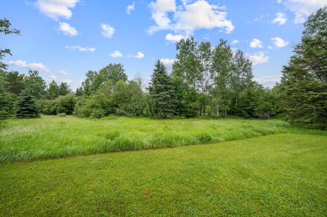 3661 Riley Rd, Rice Lake Twp, MN 55803 - view of yard featuring a wooded view