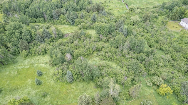 3661 Riley Rd, Rice Lake Twp, MN 55803 - aerial view of a forest