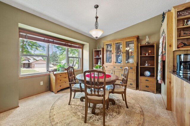 3441 Mineral Pond Blvd, Anoka, MN 55303 - photo 17