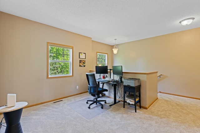 9605 Scott Cir N, Brooklyn Park, MN 55443 - carpeted office with baseboards and a textured ceiling