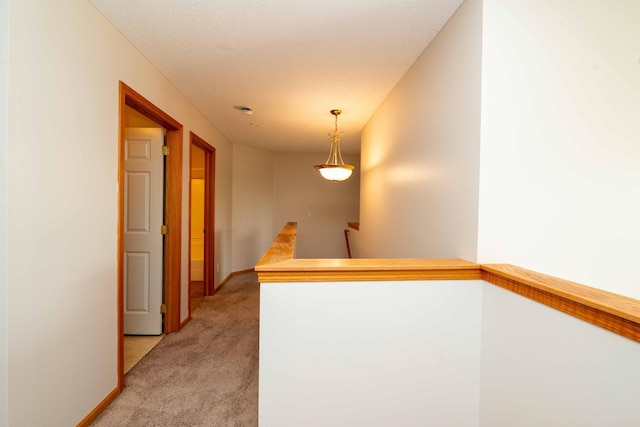 16887 91st Ave N, Maple Grove, MN 55311 - photo 19