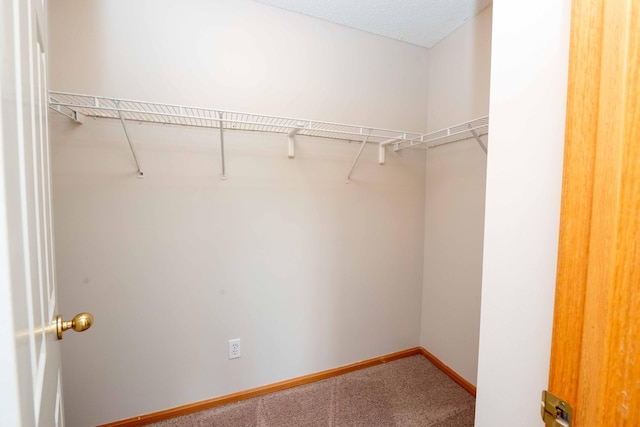 16887 91st Ave N, Maple Grove, MN 55311 - photo 28