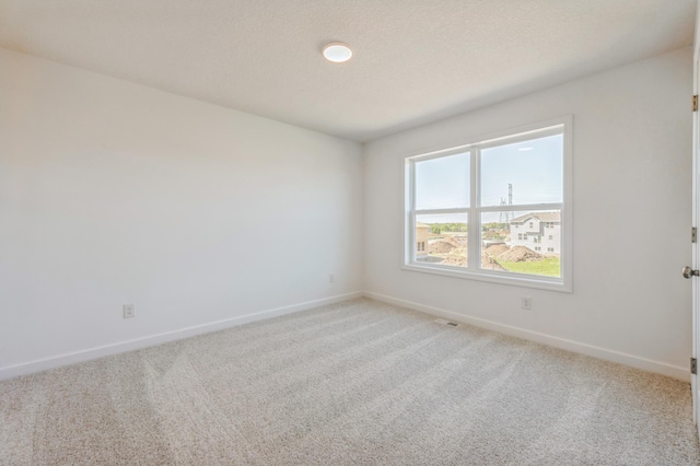 2550 Downing Ave, Shakopee, MN 55379 - empty room with light colored carpet