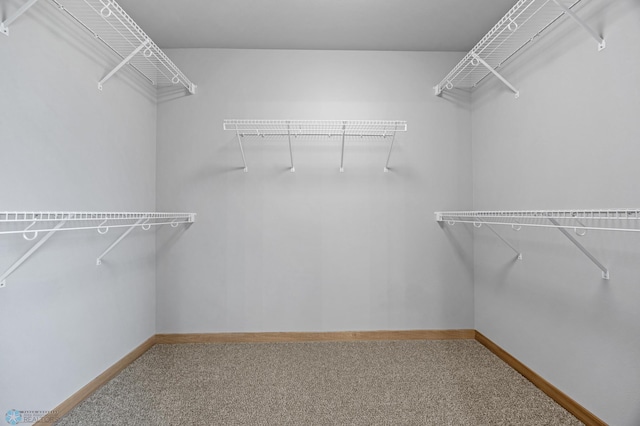 1057 61st Ave W, West Fargo, ND 58078 - walk in closet featuring carpet flooring
