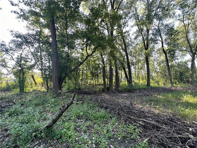 LOT3BLOCK1 Kenrick Ave, Lakeville, MN 55044 - photo 3