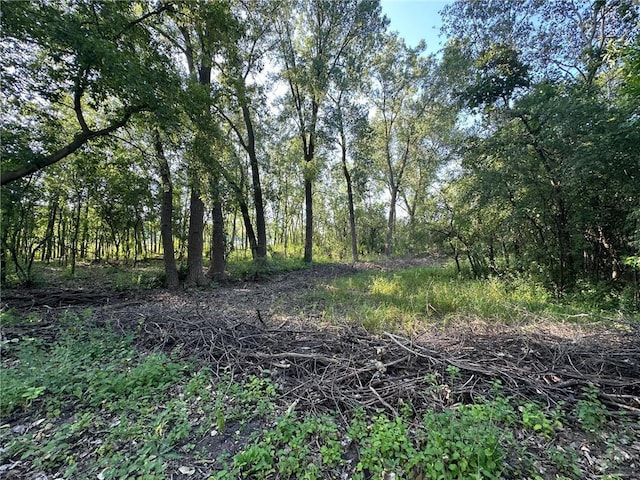 LOT3BLOCK1 Kenrick Ave, Lakeville, MN 55044 - photo 4