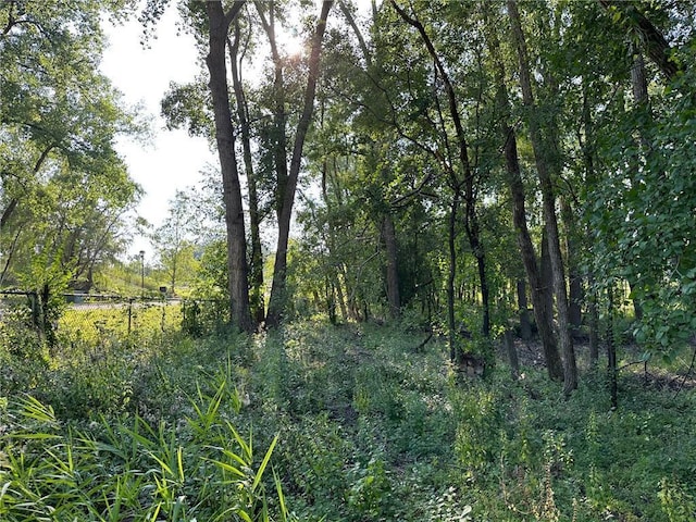 LOT3BLOCK1 Kenrick Ave, Lakeville, MN 55044 - photo 5