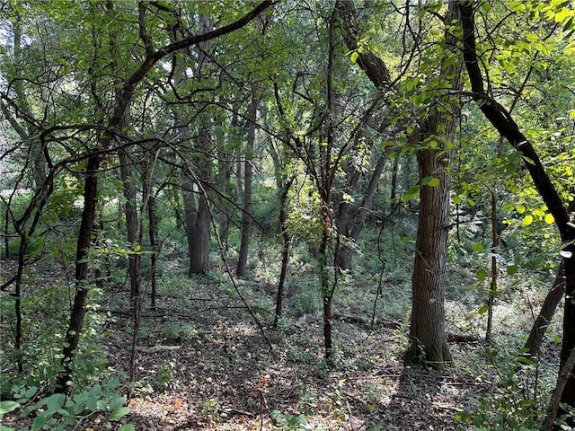 LOT3BLOCK1 Kenrick Ave, Lakeville, MN 55044 - photo 6