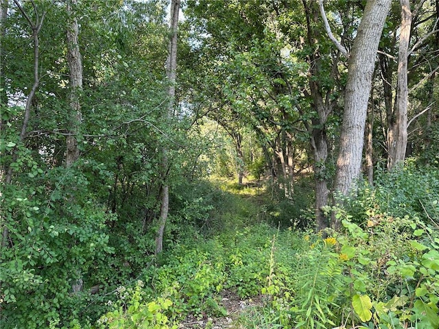 LOT3BLOCK1 Kenrick Ave, Lakeville, MN 55044 - photo 12