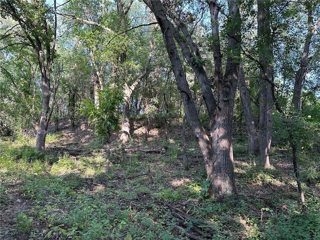 LOT3BLOCK1 Kenrick Ave, Lakeville, MN 55044 - photo 15