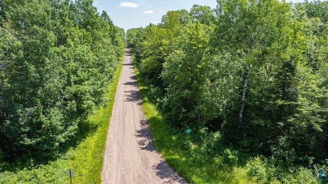 84XX Maki Rd, Bennett, WI 54873 - photo 2