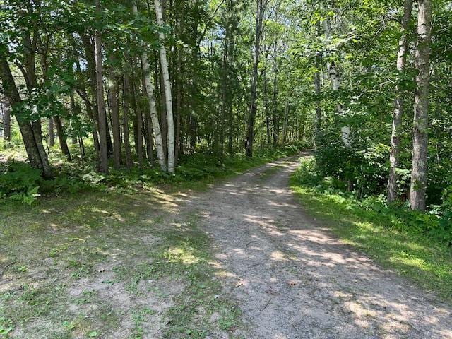 41988 251st Pl, Mcgregor, MN 55760 - photo 15