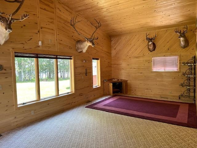 41988 251st Pl, Mcgregor, MN 55760 - photo 17
