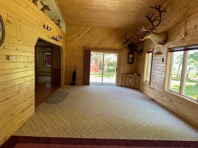 41988 251st Pl, Mcgregor, MN 55760 - photo 19