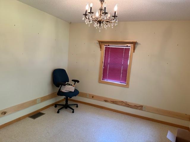 41988 251st Pl, Mcgregor, MN 55760 - photo 33