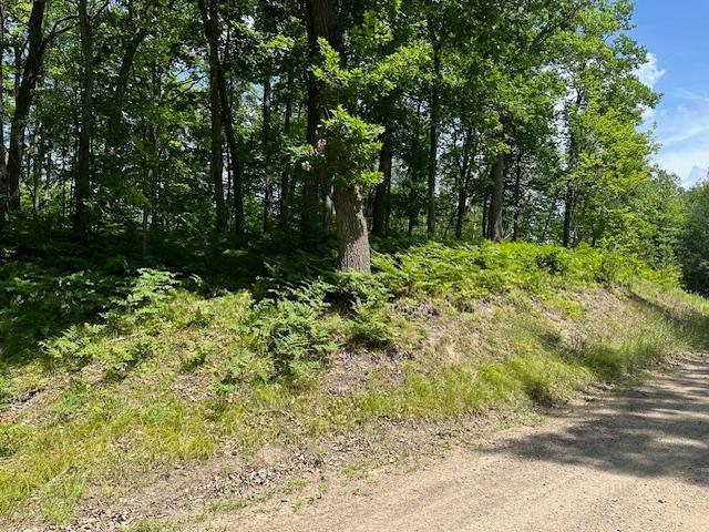 41988 251st Pl, Mcgregor, MN 55760 - photo 39