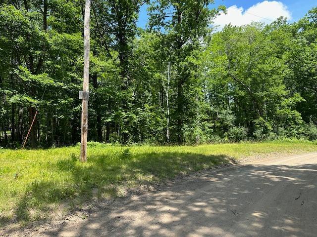 41988 251st Pl, Mcgregor, MN 55760 - photo 43