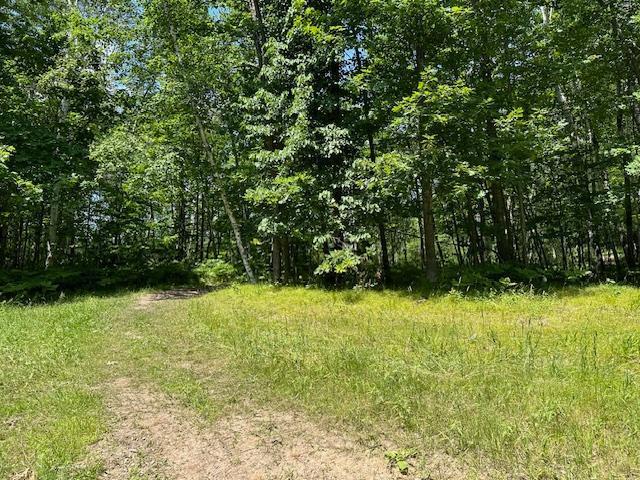 41988 251st Pl, Mcgregor, MN 55760 - photo 44