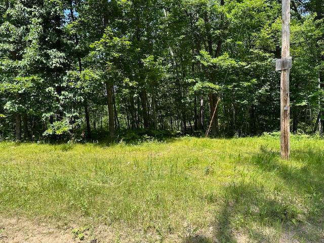 41988 251st Pl, Mcgregor, MN 55760 - photo 45