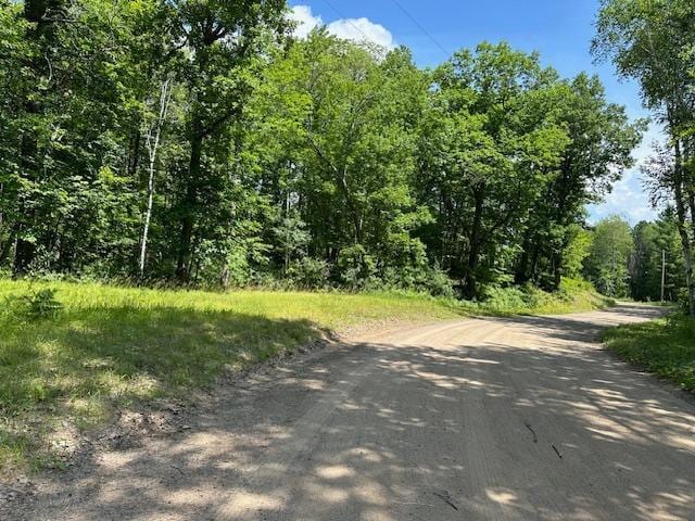 41988 251st Pl, Mcgregor, MN 55760 - photo 46
