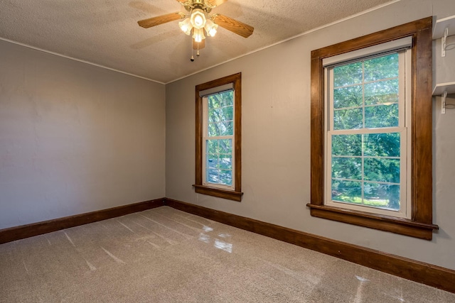 433 S Ave, North Mankato, MN 56003 - empty room featuring healthy amount of natural light, carpet flooring, a textured ceiling, a ceiling fan, and crown molding