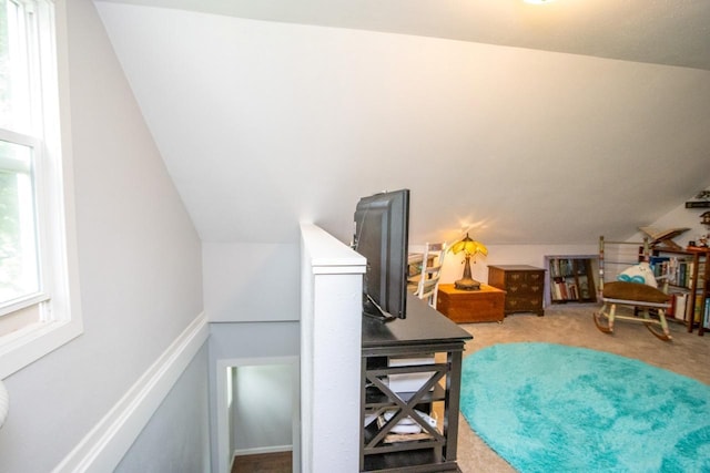 1109 Adams St, Mankato, MN 56001 - bonus room featuring carpet flooring