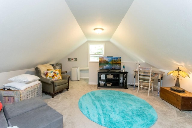 1109 Adams St, Mankato, MN 56001 - living area with carpet floors and lofted ceiling