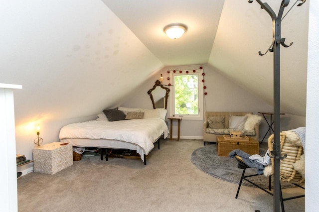 1109 Adams St, Mankato, MN 56001 - bedroom featuring carpet flooring and lofted ceiling