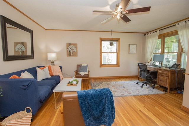 624 Garfield Ave, North Mankato, MN 56003 - living area with wood finished floors, crown molding, ceiling fan, and a desk