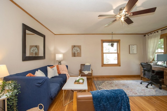 624 Garfield Ave, North Mankato, MN 56003 - living area with crown molding, ceiling fan, a desk, and wood finished floors
