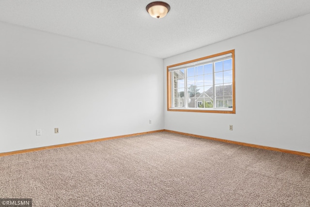 8789 Branson Dr, Inver Grove Heights, MN 55076 - photo 16