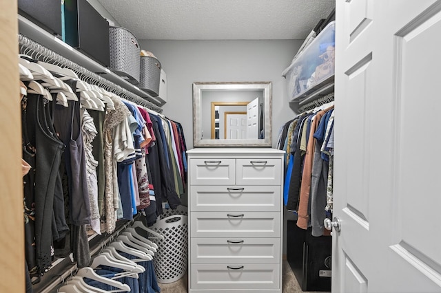 13433 Brick Path, Rosemount, MN 55068 - view of walk in closet