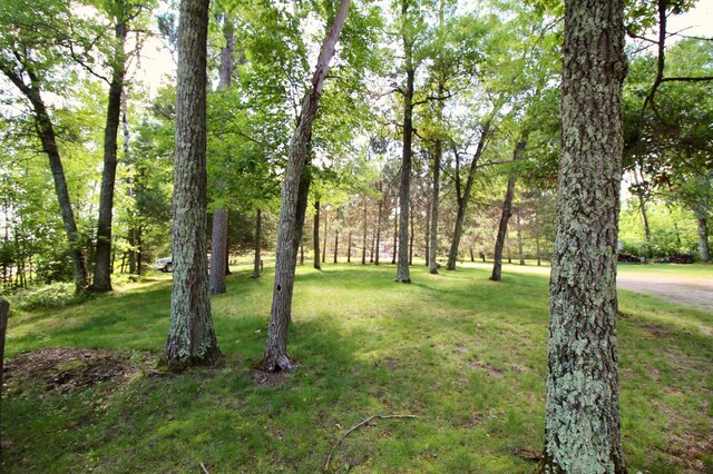 11715 Sorenson Lake Rd, Merrifield, MN 56465 - view of green lawn