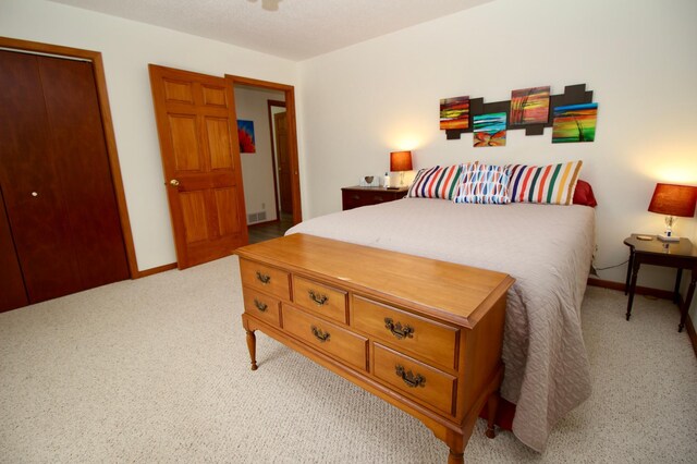 11715 Sorenson Lake Rd, Merrifield, MN 56465 - bedroom featuring carpet and a closet