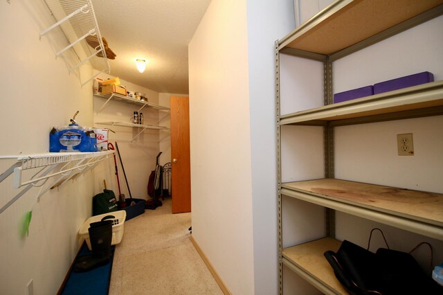 11715 Sorenson Lake Rd, Merrifield, MN 56465 - walk in closet with carpet floors