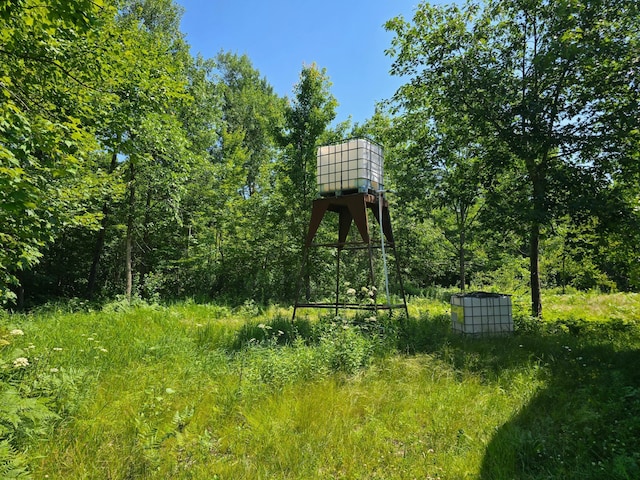 000 Enders Ln, Markville, MN 55072