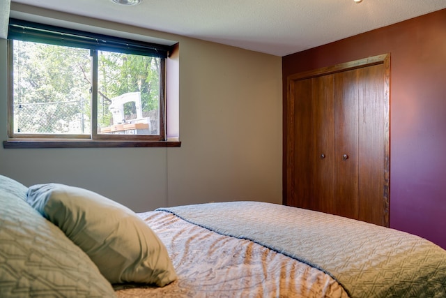 7771 Odean Ave NE, Otsego, MN 55330 - bedroom featuring a closet