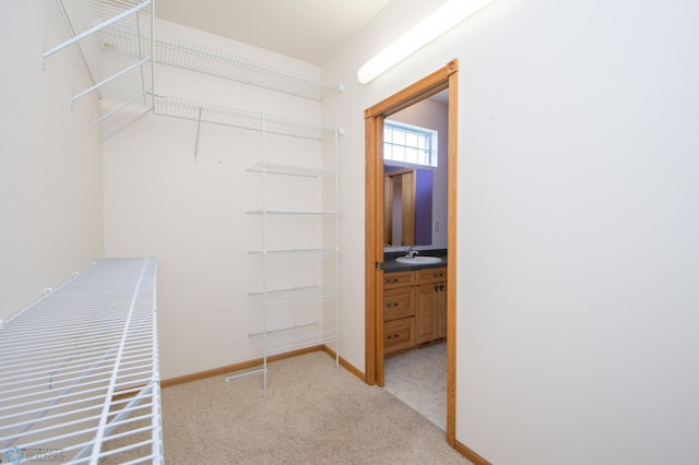 1534 Baywood Dr, West Fargo, ND 58078 - photo 24