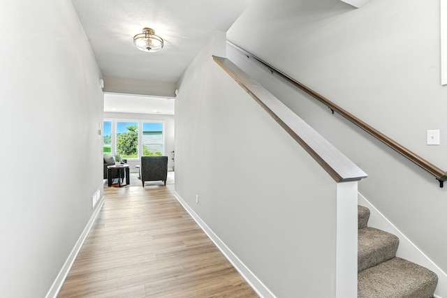 2924 Lavender Pkwy, Faribault, MN 55021 - photo 7