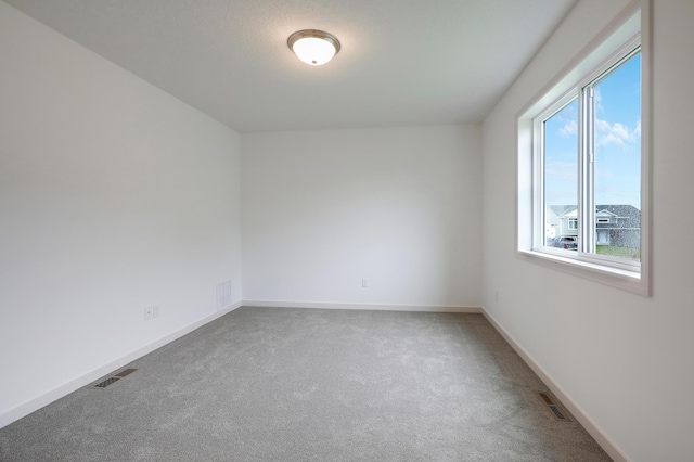 37554 Greenwich Ct, North Branch, MN 55056 - spare room featuring carpet flooring