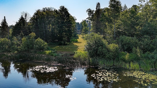 5390 Nelson Rd, Grand Lake Twp, MN 55779 - photo 5