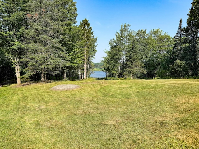 5390 Nelson Rd, Grand Lake Twp, MN 55779 - photo 43